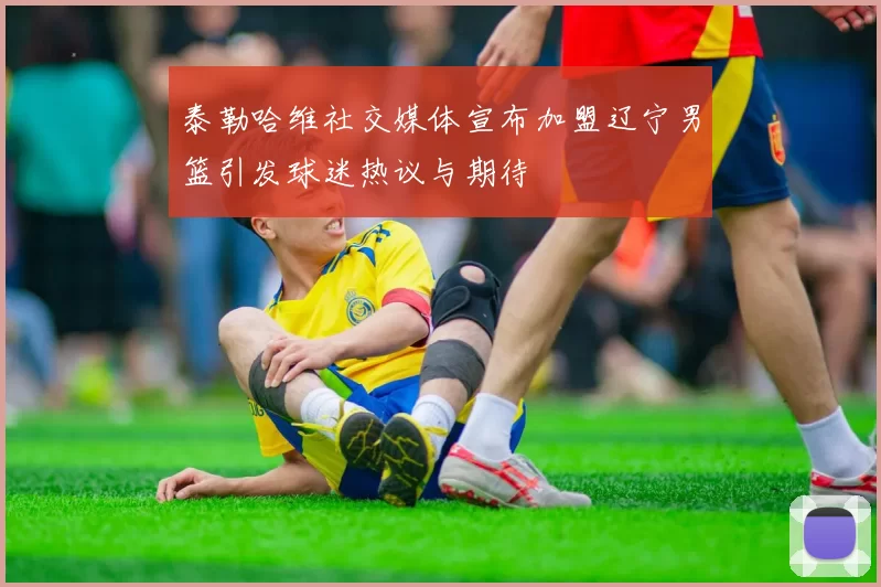 泰勒哈维社交媒体宣布加盟辽宁男篮引发球迷热议与期待