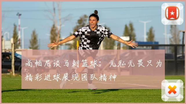 尚帕尼谈马刺篮球：无私无畏只为精彩进球展现团队精神